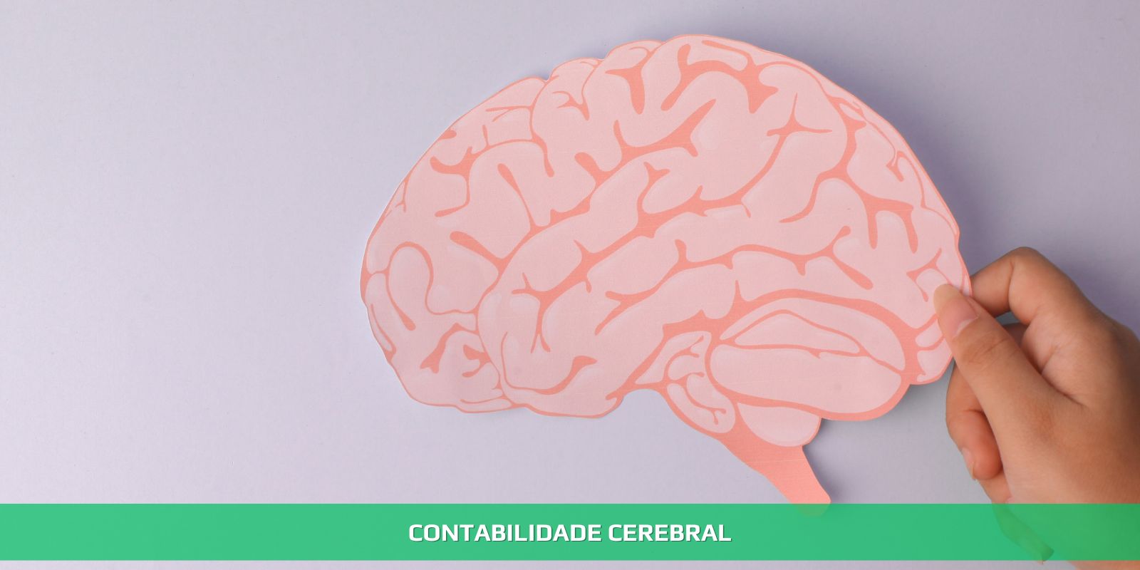 Figura 2 - NEUROCONTABILIDADE. O FUTURO JÁ CHEGOU